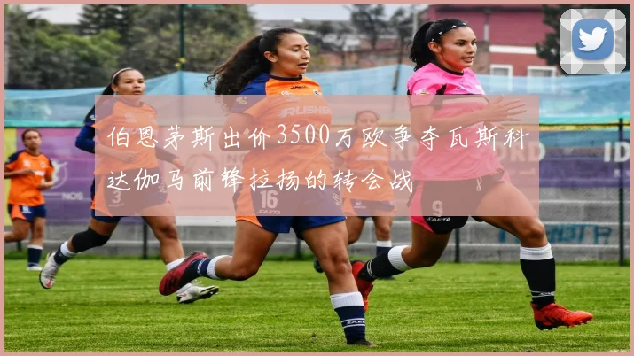 伯恩茅斯出价3500万欧争夺瓦斯科达伽马前锋拉扬的转会战