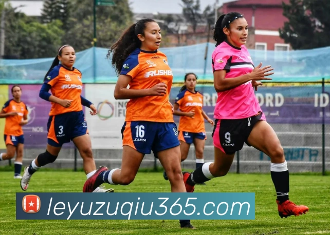 乐鱼体育平台生态图